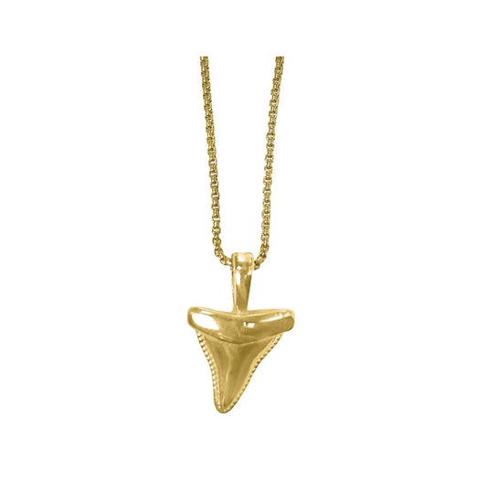 the shark tooth necklace