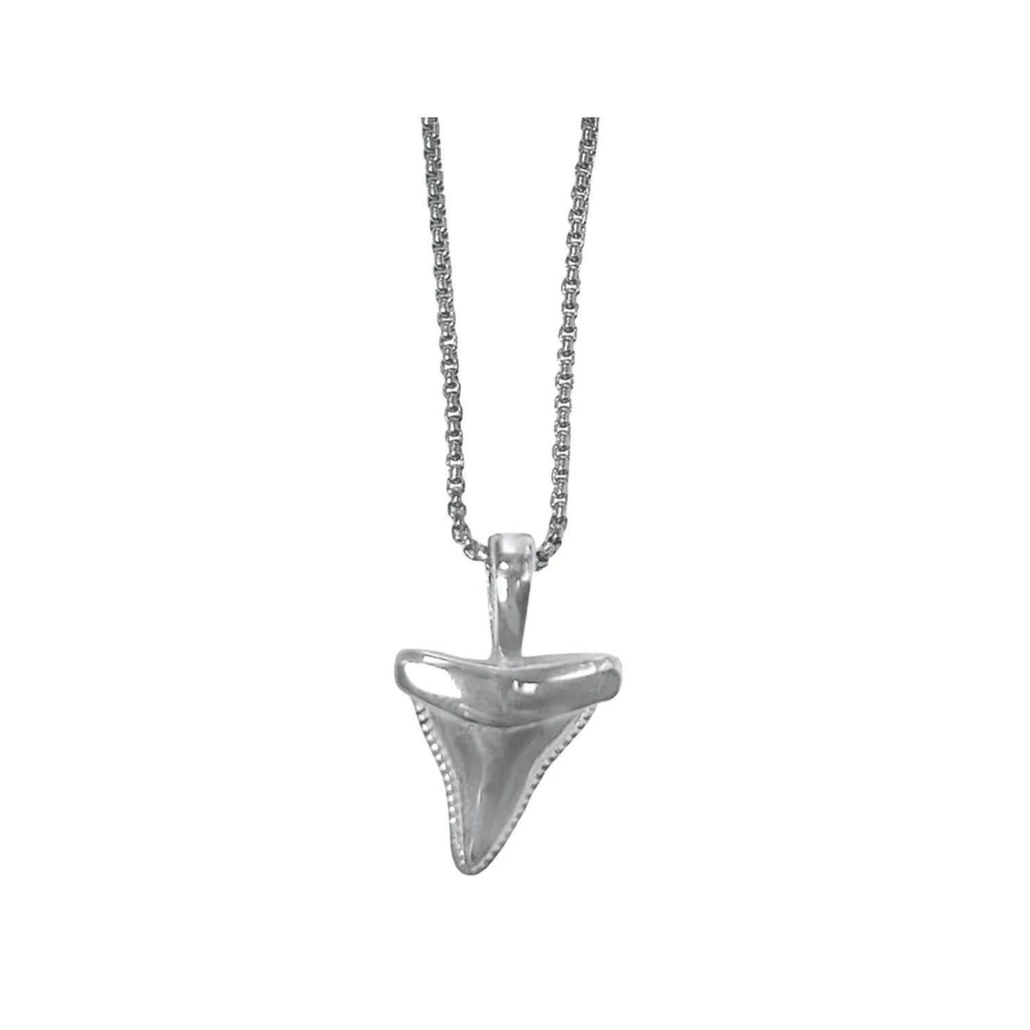 the shark tooth necklace