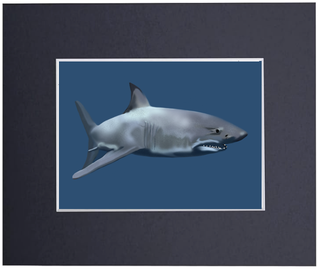 be a shark art print