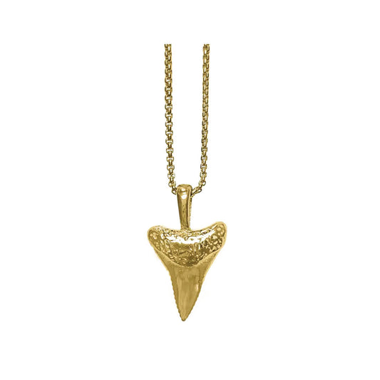 the shark tooth necklace - textured